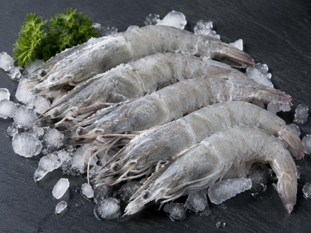 Frozen Vannamei Shrimp — Indonesia